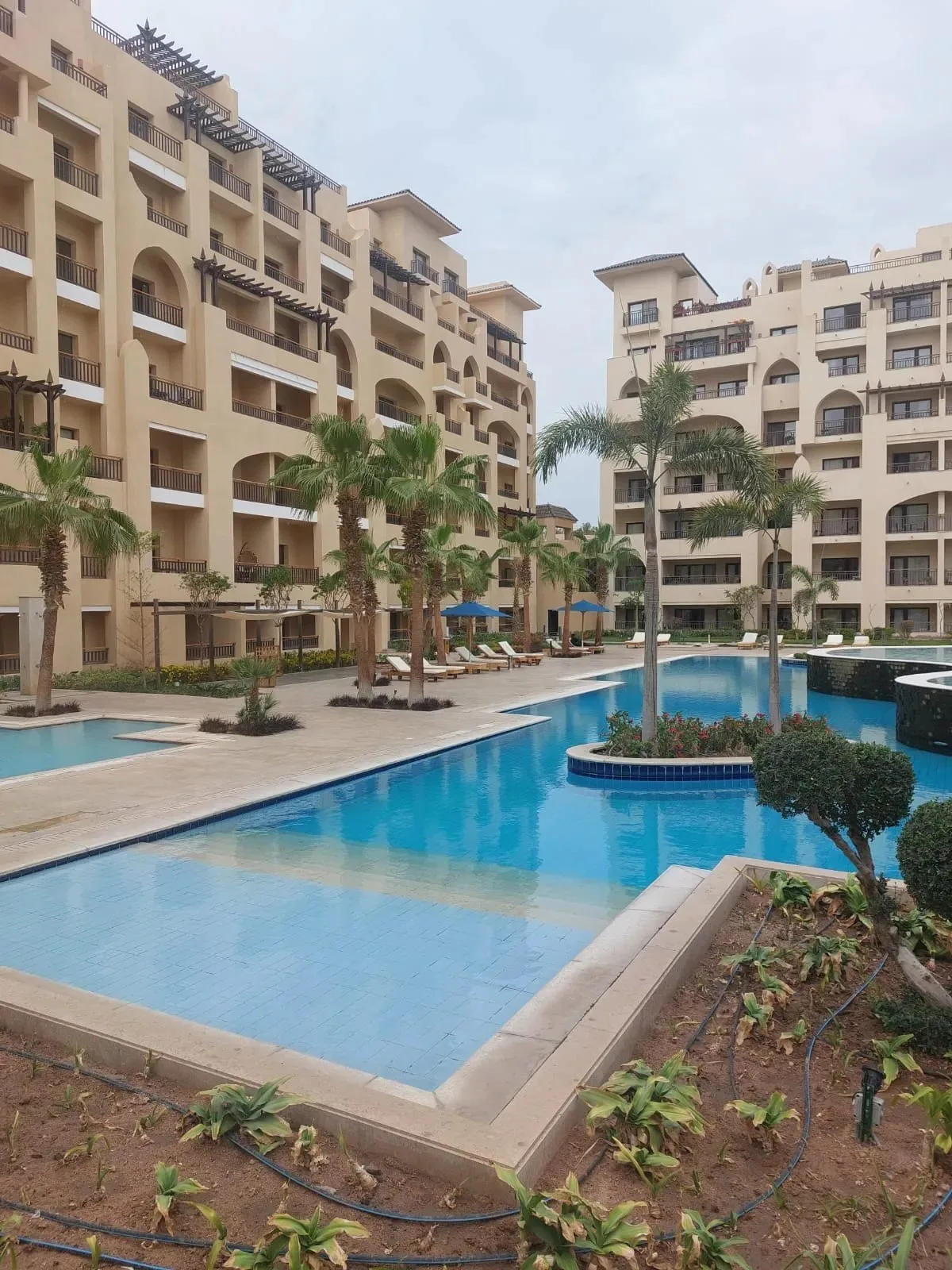 Foto: Pool and palms